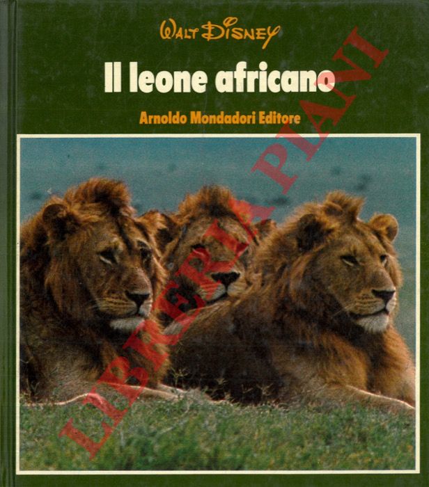 DISNEY Walt - - Il leone africano.