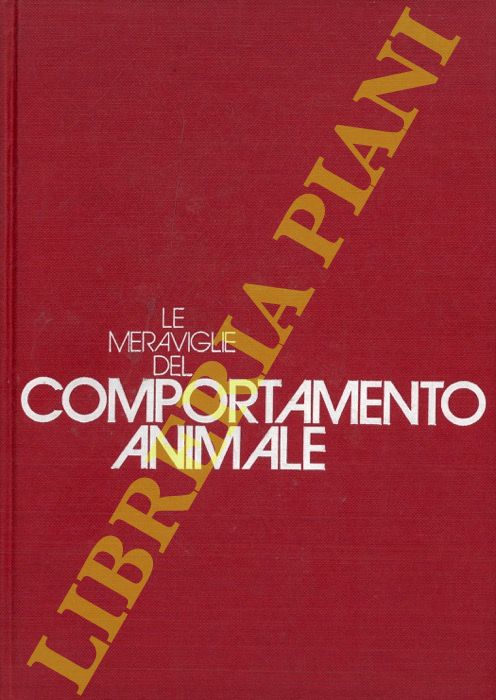 CHIARUTTINI Aldo - - Artico.