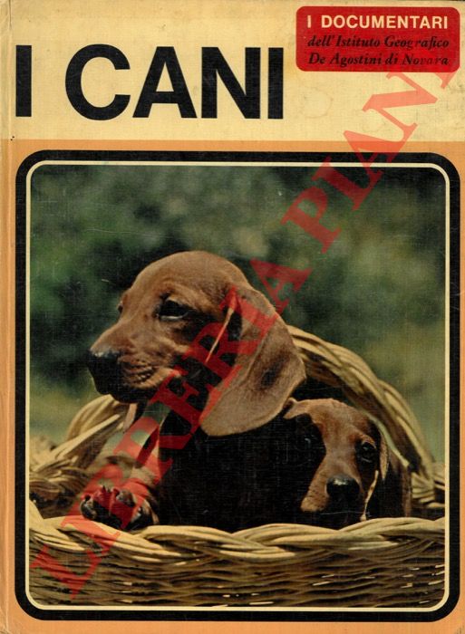 (TORREGROSSA Adriano) - - I cani.