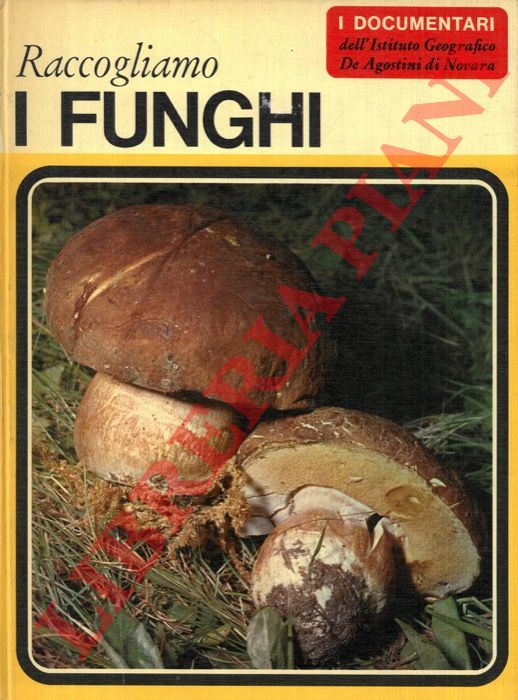 TOSCO Uberto - FANELLI Annalaura - - Raccogliamo i funghi.
