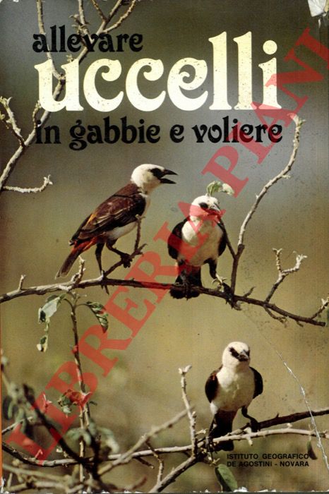FRUGIS Sergio - - Allevare uccelli in gabbie e voliere.