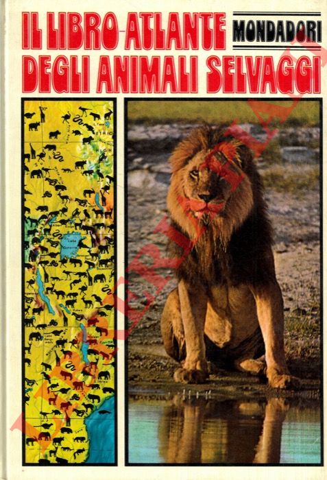 NAYMAN Jacqueline - - Il libro-atlante degli animali selvaggi.