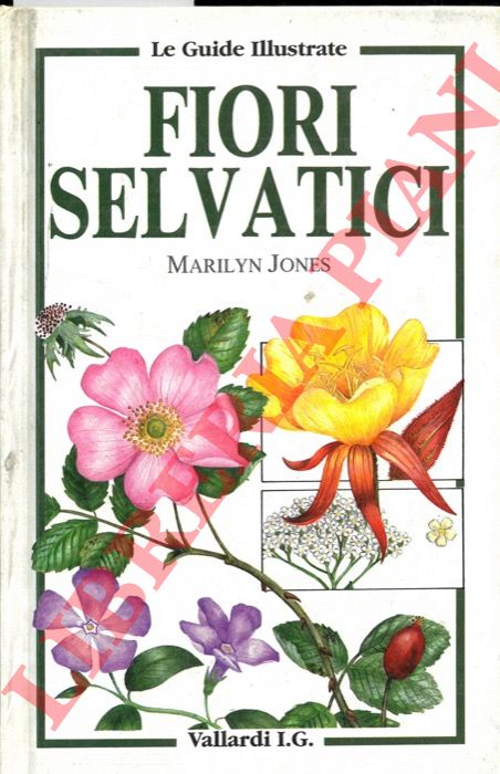 (JONES Marilyn) - - I fiori selvatici.