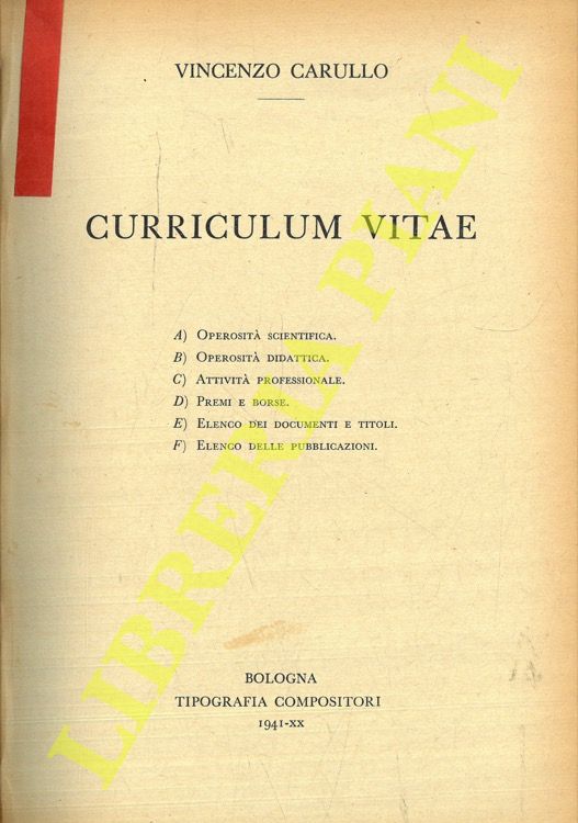 CARULLO Vincenzo - - Vincenzo Carullo. Curriculum Vitae. A) Operosit scientifica. B) Operosit didattica. C) Attivit professionale. D) Premi e borse. E) Elenco dei dcoumenti e titoli. F) Elenco delle pubblicazioni.