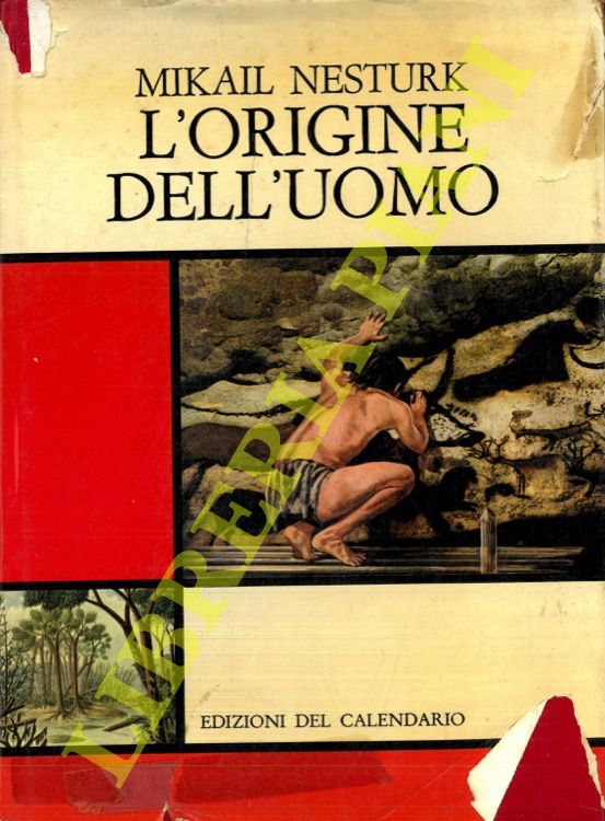 NESTURK Mikail - - L'origine dell'uomo.