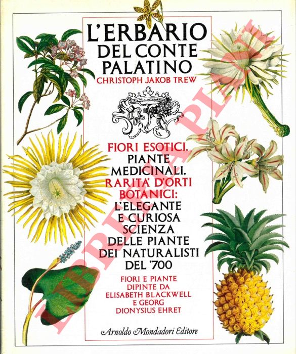 TREW Christoph Jakob - - L'erbario del conte Palatino. Fiori esotici, piante medicinali, rarit d'orti botanici: l'elegante e curiosa scienza delle piante dei naturalisti del '700.