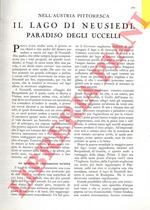 BERNATZIK Ugo Adolfo - - Il lago di Neusiedl, paradiso degli uccelli.