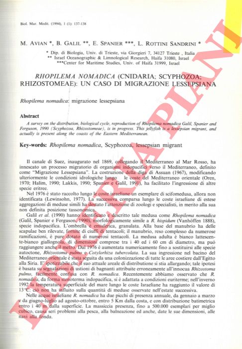 AVIAN M. - GALIL B. - SPANIER E. - ROTTINI SANDRINI L. - - Rhopilema nomadica (Cnidaria; Schiphozoa; Rhizostomeae): un caso di migrazione lessepsiana.