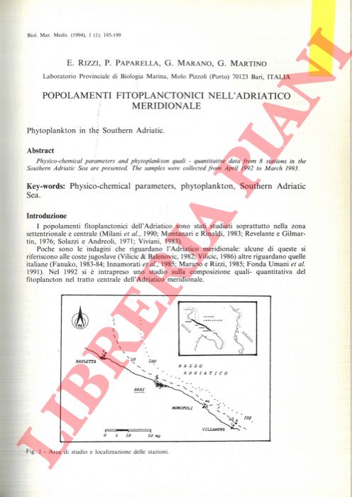 RIZZI E. - PAPARELLA P. - MARANO G. - MARTINO G. - - Popolamenti fitoplanctonici nell'Adriatico meridionale.