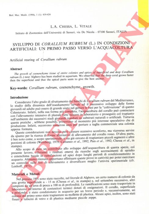CHESSA L.A. - VITALE L. - - Sviluppo dl Corallium rubrum (L.) in condizioni artificiali: un primo passo verso l'acquacoltura