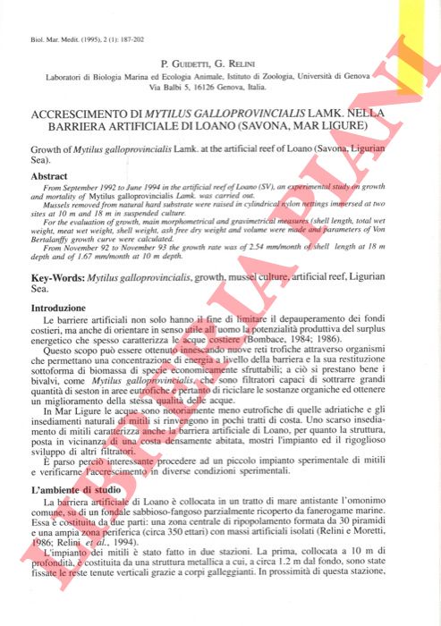 GUIDETTI P. - RELINI G. - - Accrescimento di Mytyilus galloprovincialis Lamk nella barriera artificiale di Loano (Savona, Mar Ligure) .