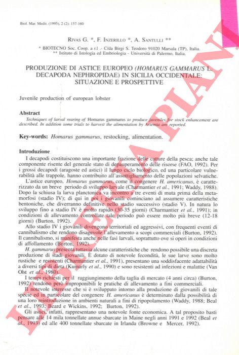 RIVAS G. - INZERILLO F. - SANTULLI A. - - Produzione di astice europeo (Homarus gammarus L. Decapoda nephropidae) in Sicilia occidentale: situazione e prospettive.