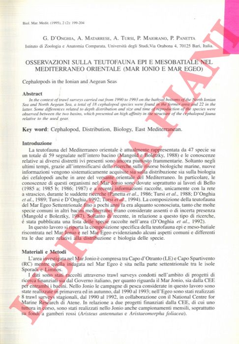 D'ONGHIA G. - MATARRESE A. - TURSI A. - MAIORANO P. - PANETTA P. - - Osservazioni sulla teutofauna epi e mesobatiale nel Mediterraneo orientale (Mar Ionio e Mar Egeo).