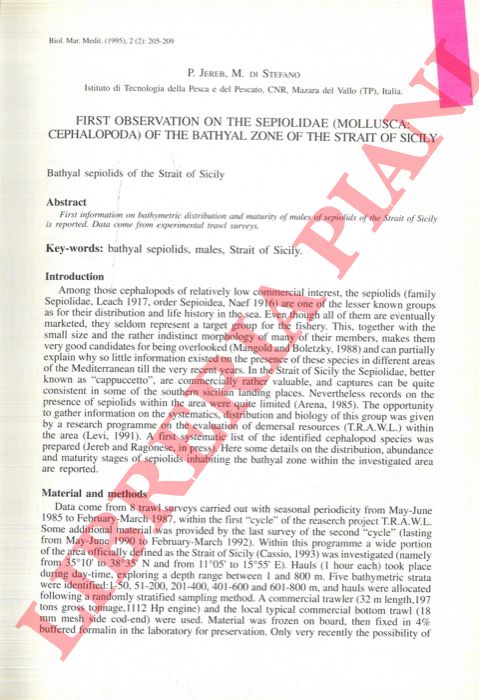 JEREB P. - Dl STEFANO M. - - First observation on the Sepiolidae (Mollusca: Cephalopoda) of the bathyal zone of the strait of Sicily.