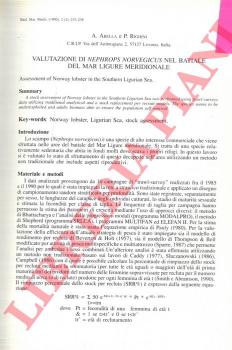 ABELLA A. - RIGHINI P. - - Valutazione di Nephrops norvegicus nel batiale del Mar Ligure meridionale.