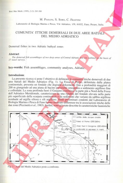 PAOLINI M. - SORO S. - FRATTINI C. - - Comunit ittiche demersali di due aree batiali del medio Adriatico.