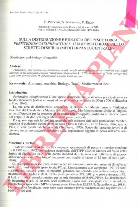 PIZZICORI P. - RAGONESE S. - RIZZO P. - - Sulla distribuzione e biologia del Pesce Forca, Peristedion cataphractum L. 1758, (Peristedidae) nello Stretto dl Sicilia, (Mediterraneo Centrale).