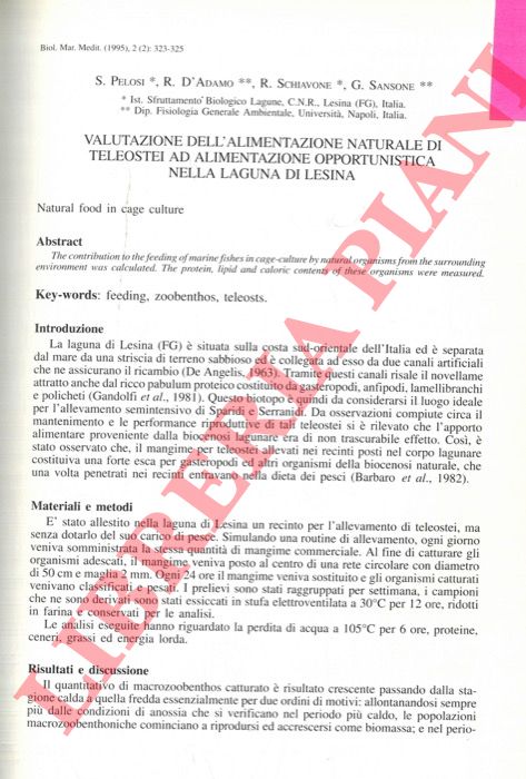 PELOSI S. - D'ADAMO R. - SCHIAVONE R. - SANSONE G. - - Valutazione dell'alimentazione naturale di Teleostei ad alimentazione opportunistica nella Laguna di Lesina.