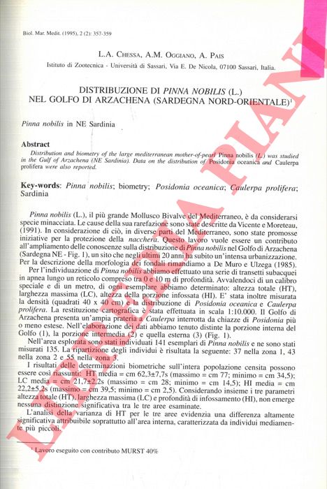 CHESSA L.A. - OGGIANO A.M. - PAIS A. - - Distribuzione di Pinna nobilis (L.) nel Golfo di Arzachena (Sardegna Nord-Orientale).