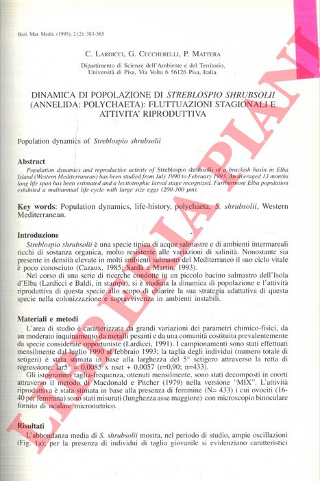 LARDICCI G. - CECCHERELLI G. - MATTERA P. - - Dinamica di popolazione di Streblospio shrubsolii (Annelida: Polychaeta): fluttuazioni stagionali e attivit riproduttiva.