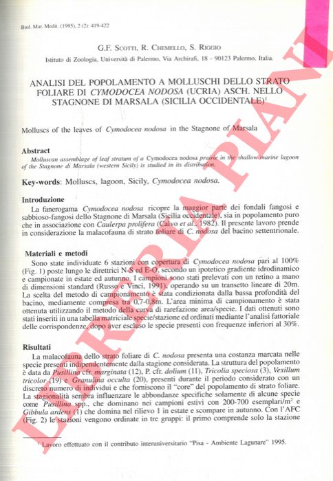 SCOTTI G.F. - CHEMELLO R. - RIGGIO S. - - Analisi del popolamento a molluschi dello strato foliare dl Cymodocea nodosa (Ucria) Asch. nello Stagnone di Marsala (Sicilia occidentale).