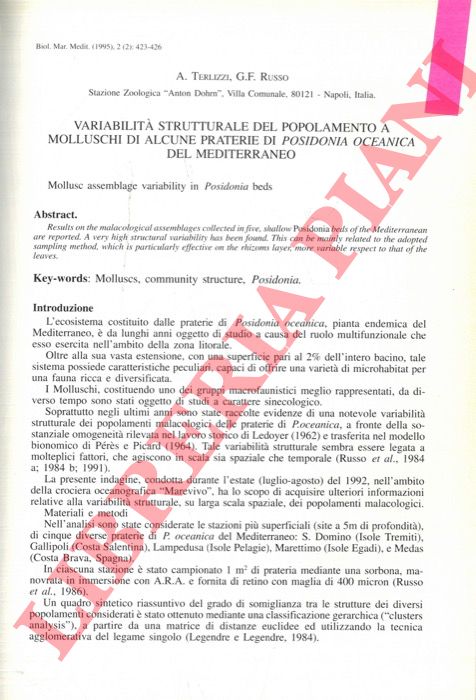TERLIZZI A. - RUSSO G.F. - - Variabilit strutturale del popolamento a molluschi di alcune praterie di Posidonia oceanica del Mediterraneo.