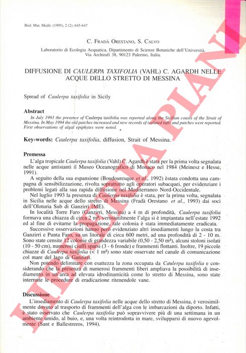 FRAD ORESTANO C. - CALVO S. - - Diffusione di Caulerpa taxifolia (Vahl) C. Agardh nelle acque dello Stretto di Messina.