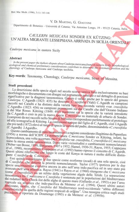 Dl MARTINO V. - GIACCONE G. - - Caulerpa Mexicana sonder ex Ktzing: un'altra migrante lessepsiana arrivata in Sicilia orientale.