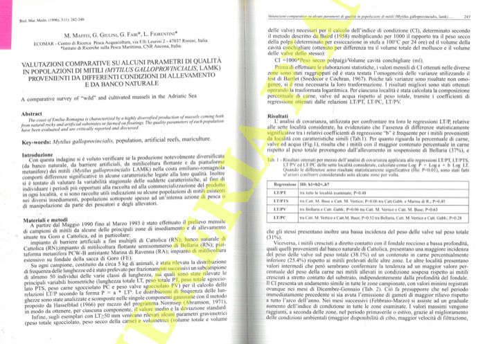 MAFFEI M. - GIULINI G. - FABI G. - FIORENTINI L. - - Valutazioni comparative su alcuni parametri di qualit in popolazioni  di mitili (Mytilus galloprovincialis, Lamk) provenienti da differenti condizioni di allevamento e da banco naturale.