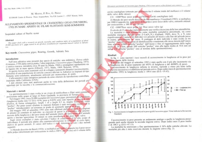 MAFFEI M. - PIVA P. - PRIOLI G. - - Allevamento sperimentale di Crassostrea gigas (Thunberg, 1793) in mare aperto su filari flottanti semi-sommersi.