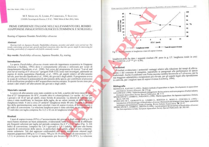SPEDICATO M.T. - LEMBO G. - CARBONARA P. - SILECCHIA T. - - Prime esperienze italiane nell'allevamento del rombo giapponese Paralichthys olivaceus (Temminck e Schlegel) .