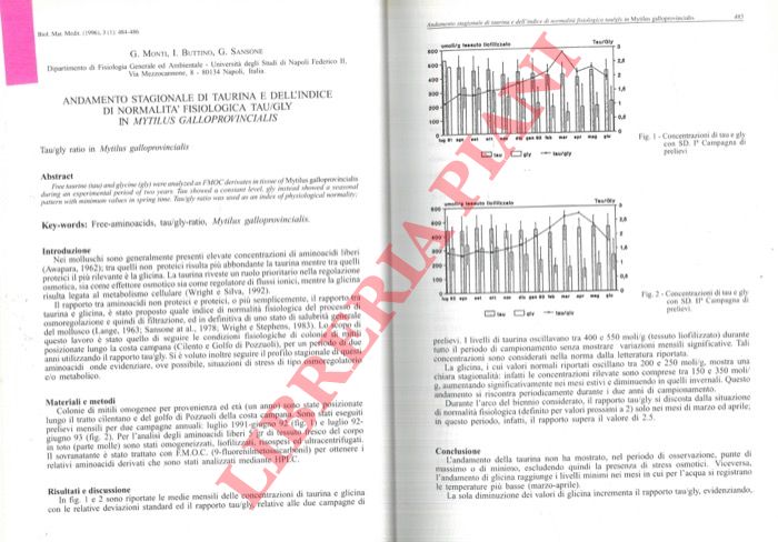 MONTI G. - BUTTINO I. - SANSONE G. - - Andamento stagionale di taurina e dell'indice dl normalit fisiologica tau/gly in Mytilus galloprovincialis.