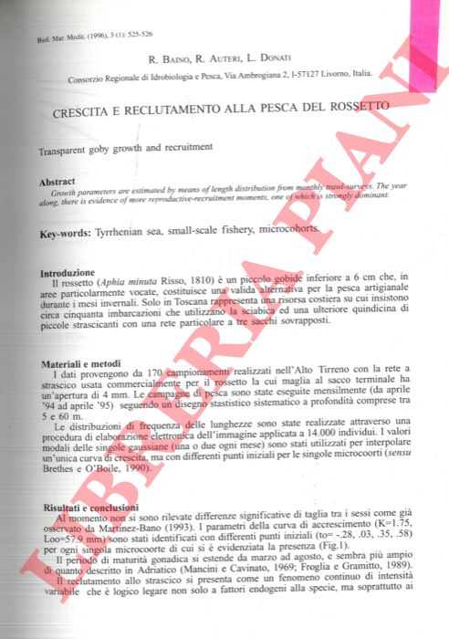 BAINO R. - AUTERI R. - DONATI L. - - Crescita e reclutamento alla pesca del rossetto.