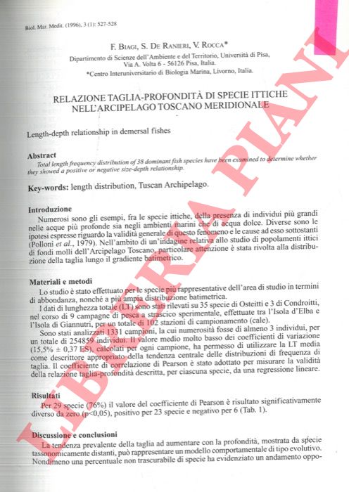 BIAGI F. - DE RANIERI S. - ROCCA V. - - Relazione taglia-profondit di specie ittiche nell'Arcipelago Toscano meridionale.