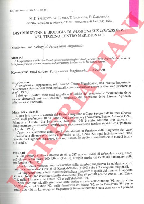 SPEDICATO M. T. - LEMBO G. - SILECCHIA T. - CARBONARA P. - Distribuzione e biologia di Parapenaeus longirostris nel Tirreno Centro-meridionale.