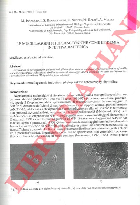 INNAMORATI M. - BERNACCHIONI S. - NUCCIO C. - BALZI M. - MELLEY A. - - Le mucillagini fitoplanctoniche come epidemia infettiva batterica.