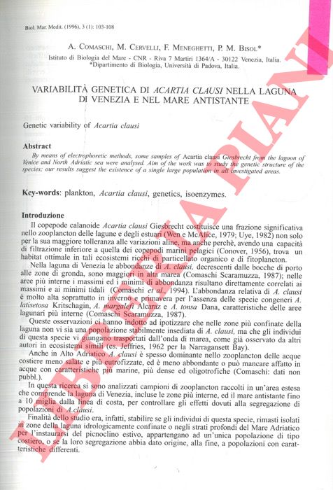 COMASCHI A. - CERVELLI M. - MENEGHETTI F. - BISOL P.M. - - Variabilit  genetica di Acartia clausi nella Laguna di Venezia e nel mare antistante.