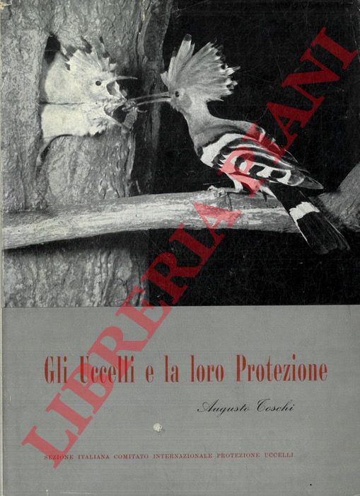 TOSCHI Augusto - - Gli uccelli e la loro protezione.