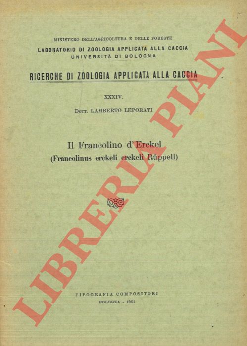 LEPORATI Lamberto - - Il Francolino d'Erckel (Francolinus erckeli erckeli Ruppell).