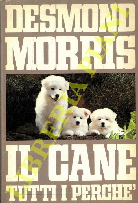 MORRIS Desmond - - Il cane. Tutti i perch.