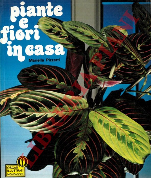 PIZZETTI Mariella - - Piante e fiori in casa.