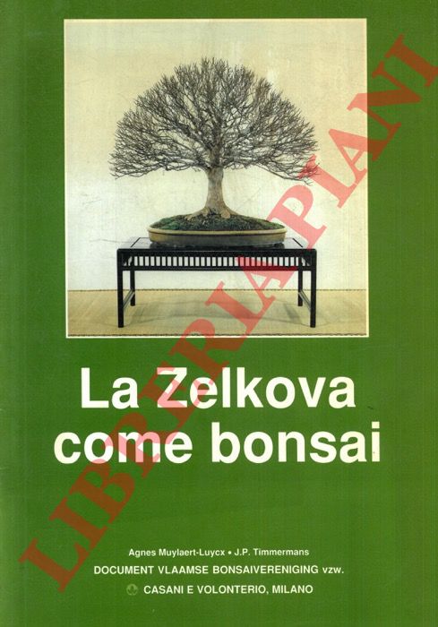 (TIMMERMANS Jean Pierre - MUYLAERT LUCYX Agnes) - - La Zelkova come bonsai.
