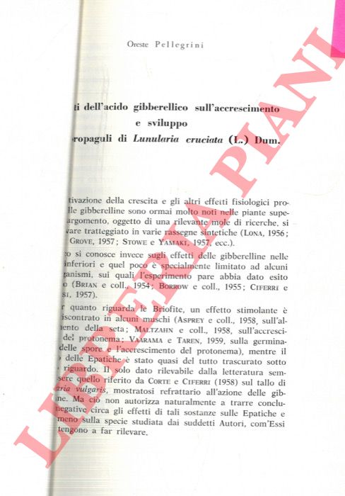 PELLEGRINI Oreste - - Effetti dell'acido gibberellico sull'accrescimento e sviluppo dei propaguli di Lunularia cruciata (L.) Dum.