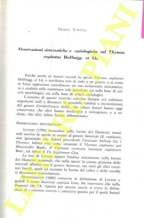SIBILIO Eleonora - - Osservazioni sistematiche e cariologiche sul Thymus capitatus Hoffmgg. et Lk.