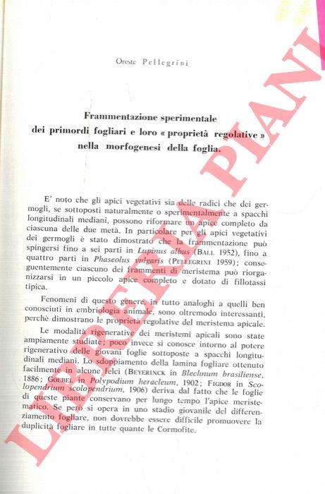 PELLEGRINI Oreste - - Frammentazione sperimentale dei primordi fogliari e loro 'propriet regolative' nella morfogenesi della foglia.