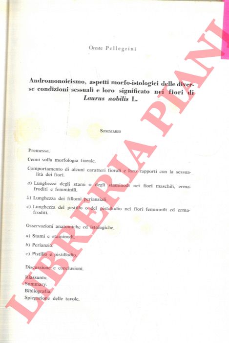 PELLEGRINI Oreste - - Andromonoicismo, aspetti morfo-istologici delle diverse condizioni sessuali e loro significato nei fiori di Laurus nobilis L.