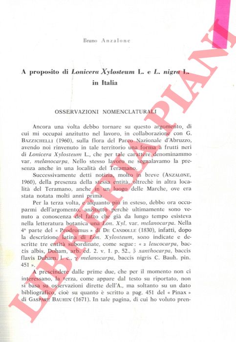 ANZALONE Bruno - - A proposito di Lonicera xylosteum L. e L. nigra L. in Italia.