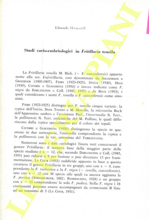 HONSELL Edmondo - - Studi cario-embriologici in Fritillaria tenella.