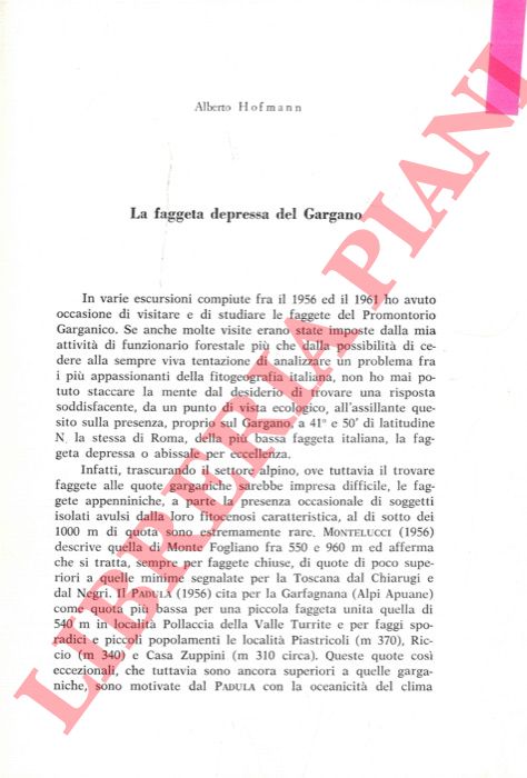 HOFMANN Alberto - - La faggeta depressa del Gargano.