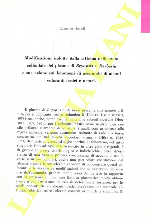 HONSELL Edmondo - - Modificazioni indotte dalla caffeina nello stato colloidale del plasma di Bryopsis e Derbesia e sua azione sui fenomeni di accumulo di alcuni coloranti basici e neutri.